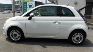 DSCF1214.JPG